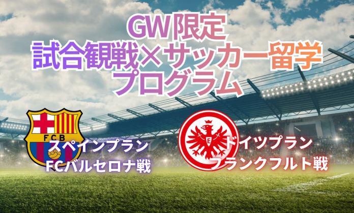 段落テキスト (6)